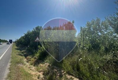 Teren intravilan  6,263mp Pielesti - 1