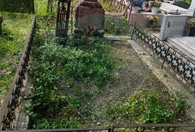 Proprietate specială, în Șerban Vodă