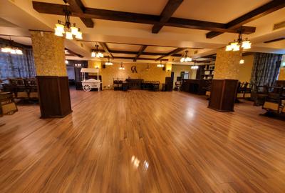 Vanzare Hotel sat Costi 1472 mp 930000 euro - 9
