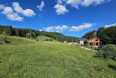 Teren intravilan Traisteni, Valea Doftanei – 2.290 mp, deschidere mare, padure - 2
