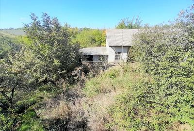Vanzare vila P+1, Loc. Sinesti, teren: 4.065 mp, langa lac, comision 0% - 9