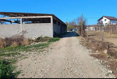 Teren Construcții intravilan de 3613 mp, în Ișalnița