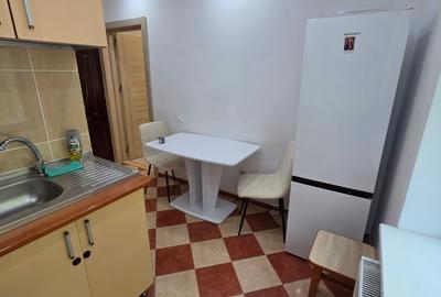 Berceni, Oltenitei, chiar pe Anton Bacalbasa, renovata, mobilata si utilata - 13