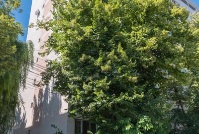 APARTAMENT 3 CAMERE TITU MAIORESCU ZONA UNIVERSITATII AL.I.CUZA 0% comision - 26