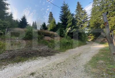 Teren Construcții intravilan de 990 mp, în Băișoara