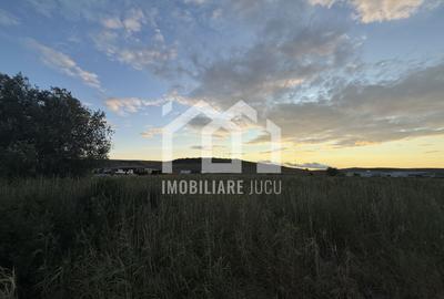 Teren – 7.194 mp | Răscruci – Zona Tetarom - 1