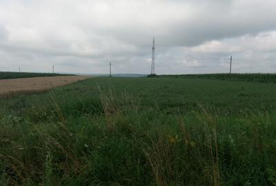 Teren agricol extravilan de 17300 mp, în Periferie