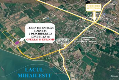 Proprietar – Teren Intravilan Cornetu - 2.466 mp, 10 €/mp – 2 Deschideri la drum - 2