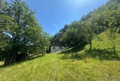 Casa de vacanta 98 mp| 25.000 mp teren| zona Valea Vintului - 7