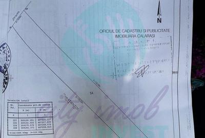 Teren intravilan 1.000 mp | Lângă Balta Pasărea | 20 de min de București - 2