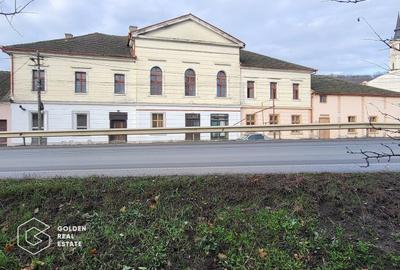 Proprietate tip conac, teren 4468 mp, oras Lipova - 2