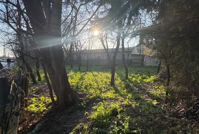 Teren Construcții intravilan de 700 mp, în Griviței