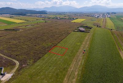 Teren intravilan, 590mp, Bod, lângă Brașov - 3