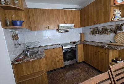 Vanzare vila P+1+M cu 5 camere, casa batraneasca , 2 garaje, teren 9249mp, - 14