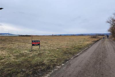 Teren intravila drept, loc de casa , 1300 mp Ernei,  Mures, zona linistita - 3