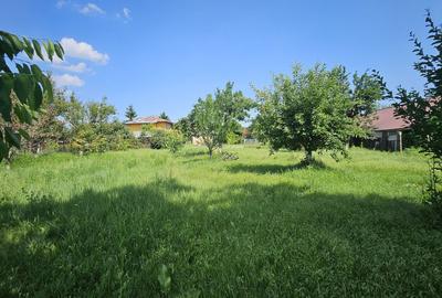 Teren intravilan 1400mp, deschidere 20mp, Snagov - 5