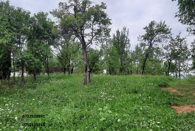 Teren intravilan, 5000 mp, Breaza, Prahova - 1