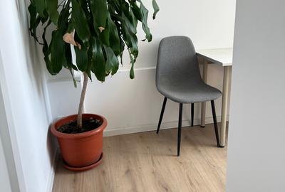 Apartamentul, primul chiriasi - 17