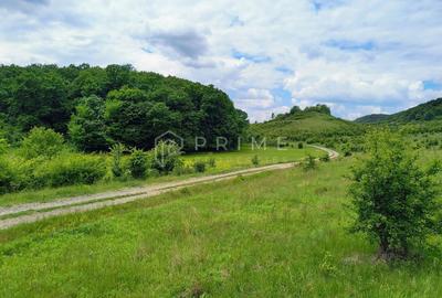 Oportunitate de investiție – 4 parcele în Corunca, 20 €/mp - 4