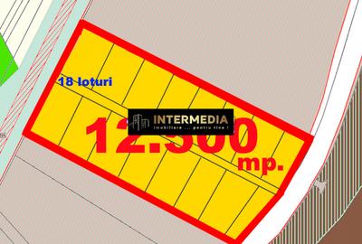 Teren Construcții intravilan de 12500 mp, în Partoș