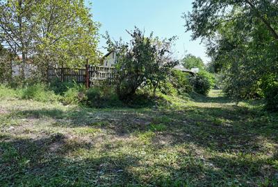 Casa de vanzare | Teren 3.000 mp | Izvor | Manesti - Coada Izvorului - 18