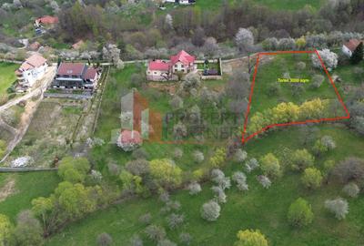 TEREN PREMIUM ÎN BRAN – SOHODOL | 3000 MP CU PANORAMĂ EXCEPȚIONALĂ - 3