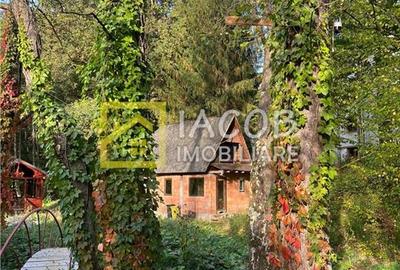Casa cu teren, str. Slatinei, Luncani - Margineni - Bacau - 12