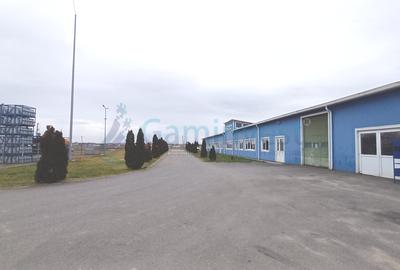 Spatiu industrial de vanzare in Biharia, hala 1200 mp si 23772 mp teren - 6