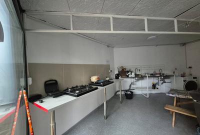 Vila cu multiple spatii cazare, curte libera, Foisorul de Foc - 9