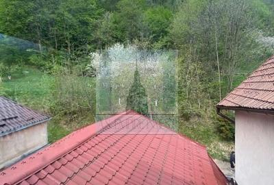 Casa singur in curte - zona Schei - 22