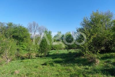 Teren 3445 mp intravilan front 26 m utilitati in zona in Cisnadie - 1