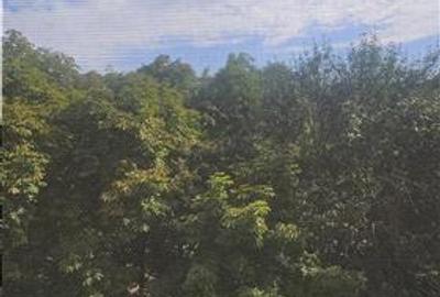Inchiriere apartament 3 camere Iancului-KFC - 14