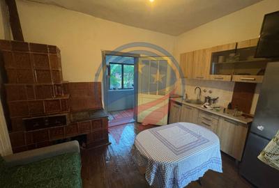 Casă de vânzare în Comuna Orodel – proprietate îngrijită, gata de locuit și cu p - 13