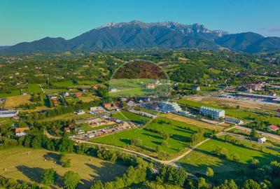 Teren intravilan 7.660 mp lângă Bran, panoramă 360°, comision 0% - 6
