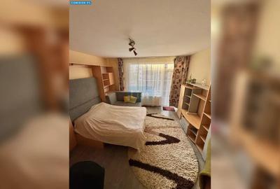 Apartament cu 2 camere decomandat, mobilat în Borhanci
