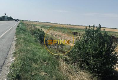 De vanzare - teren intravilan I 90.000mp  I FS: 250m I Slobozia - 3