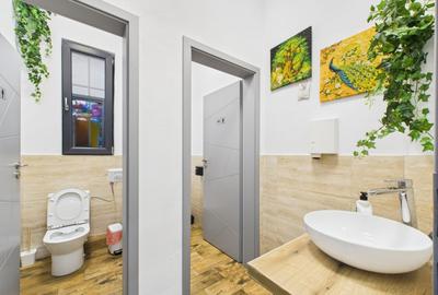 Spatiu de inchiriat - Comuna Berceni - 26