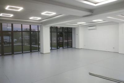 Zona Drumul Intre Tarlale - Catelu - hala cu birouri si showroom - 3
