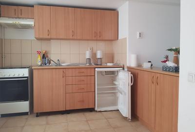 Vanzare garsoniera la curte, renovata, centrala proprie, 62.000 euro - 7