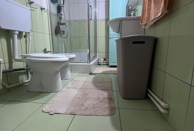 Casa de vanzare, zona palas, 195mp teren, 4 camere, 2 bai, 2 bucatarii, renovata - 14