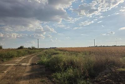 Teren intravilan în orașul Măgurele, la limita cu Bucureștiul - 3