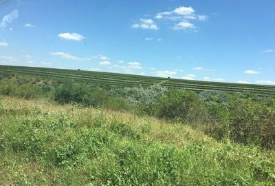 Teren agricol - livada - Galita Ostrov - 1