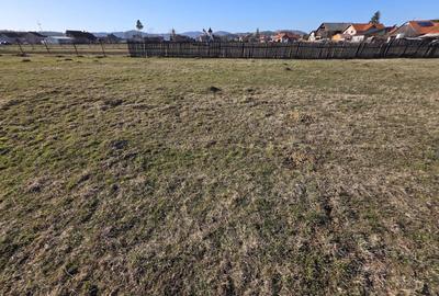 TEREN DE VÂNZARE – ZONA VÂRTEJ, ÎNTORSURA BUZĂULUI - 7