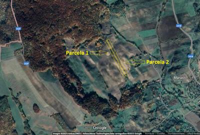 Teren agricol extravilan de 35000 mp, în Filipeni