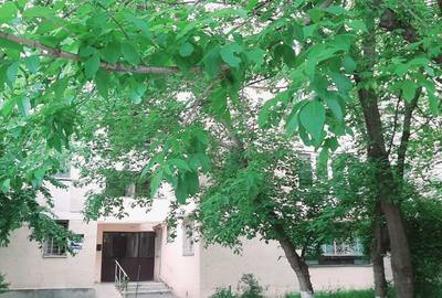 Mall Drumul Taberei- Str Brasov- Apartament 2 camere - 7