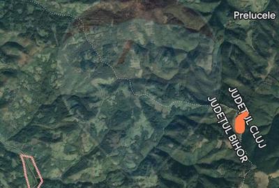 Teren 130000 mp extravilan, faneata si padure, Munteni - Bulz, Negreni - 6
