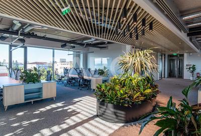Birouri premium in Sibiu–Spatii flexibile moderne pentru companii - 1