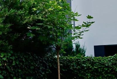 Vila noua moderna, 5 camere, Iancu Nicolae, Jolie Ville Cambridge School - 20