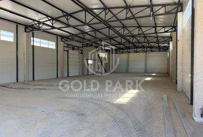 Spatiu Industrial - Baciu - Constructie Noua - 8