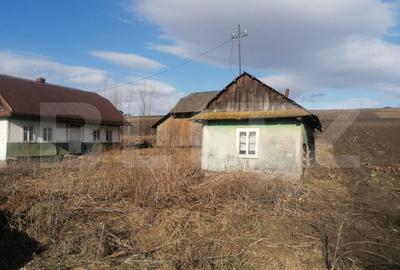 Teren Construcții intravilan de 10000 mp, în Sud
